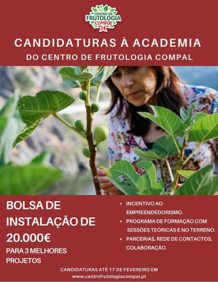 Candidaturas à academia